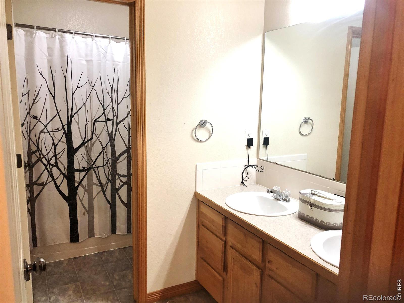 3243 Ambush Drive Wellington CO 80549