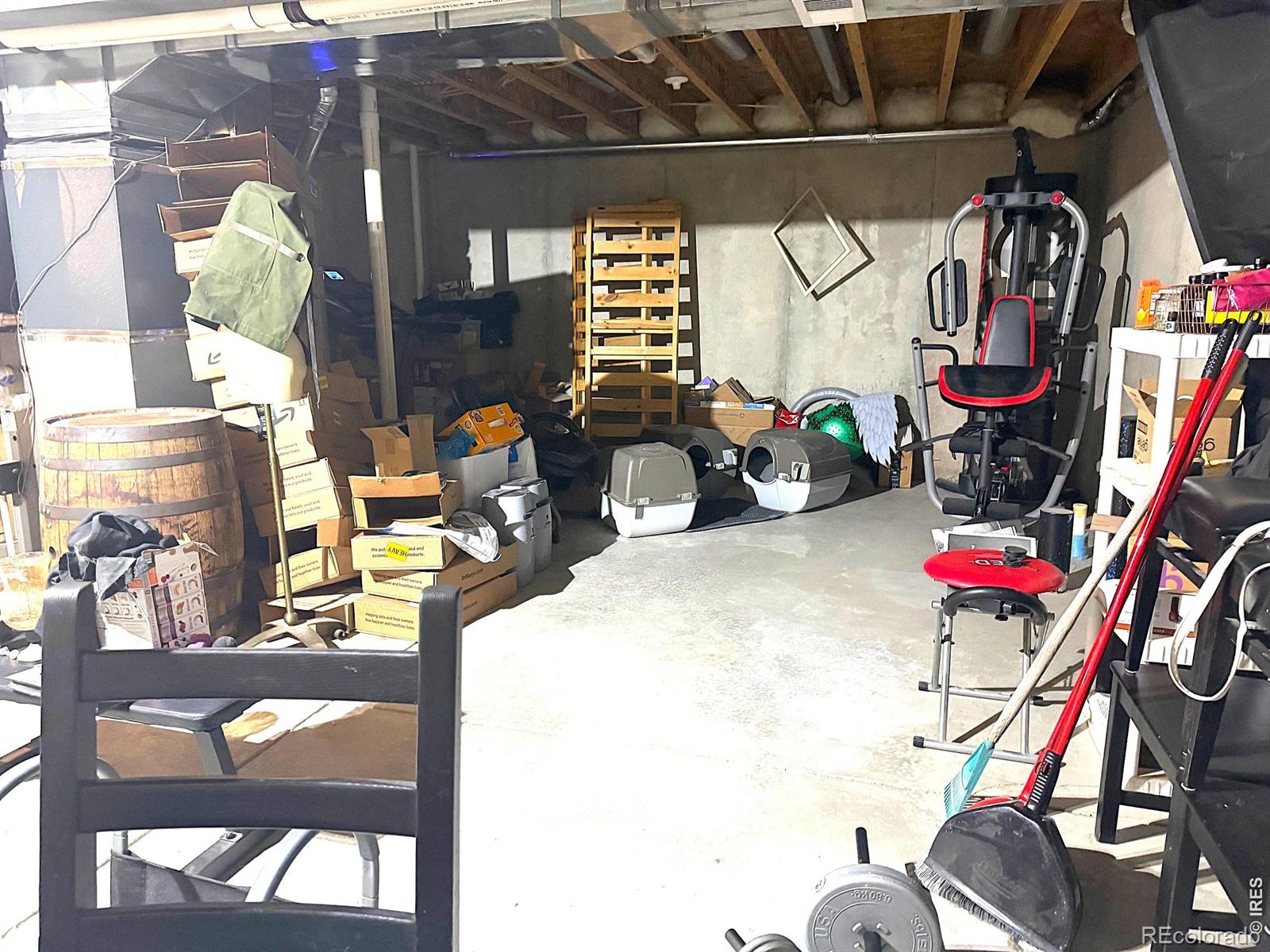 3243 Ambush Drive Wellington CO 80549