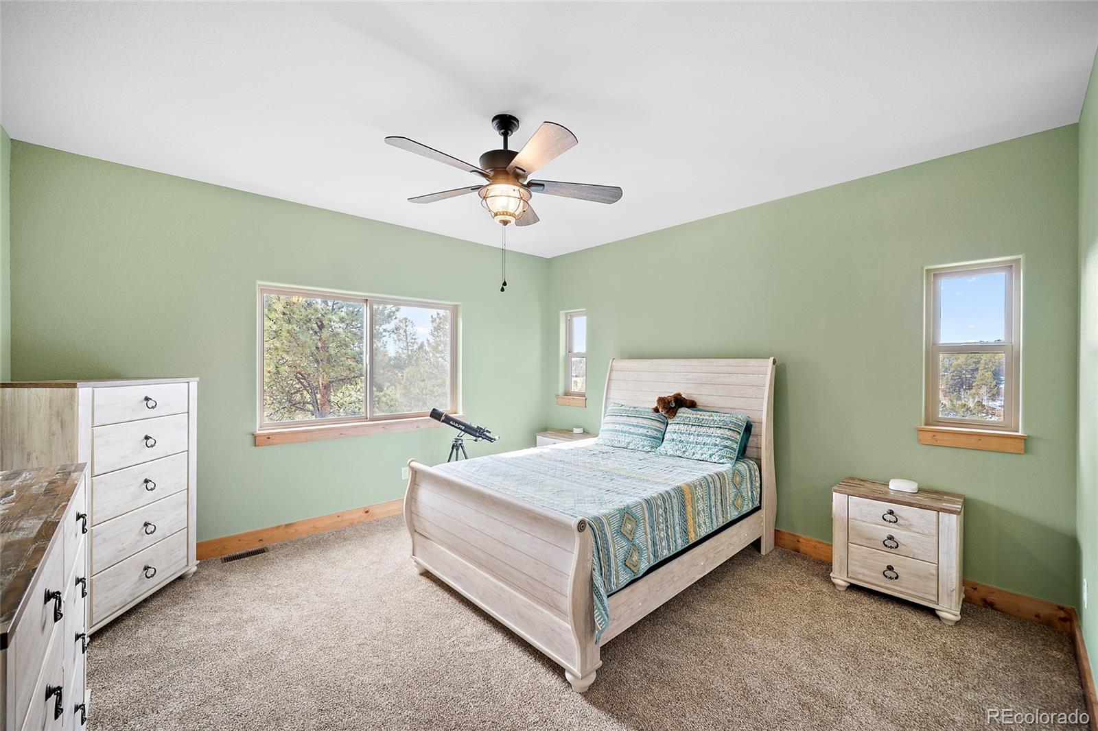 367 Cottonwood Lake Drive Divide CO 80814