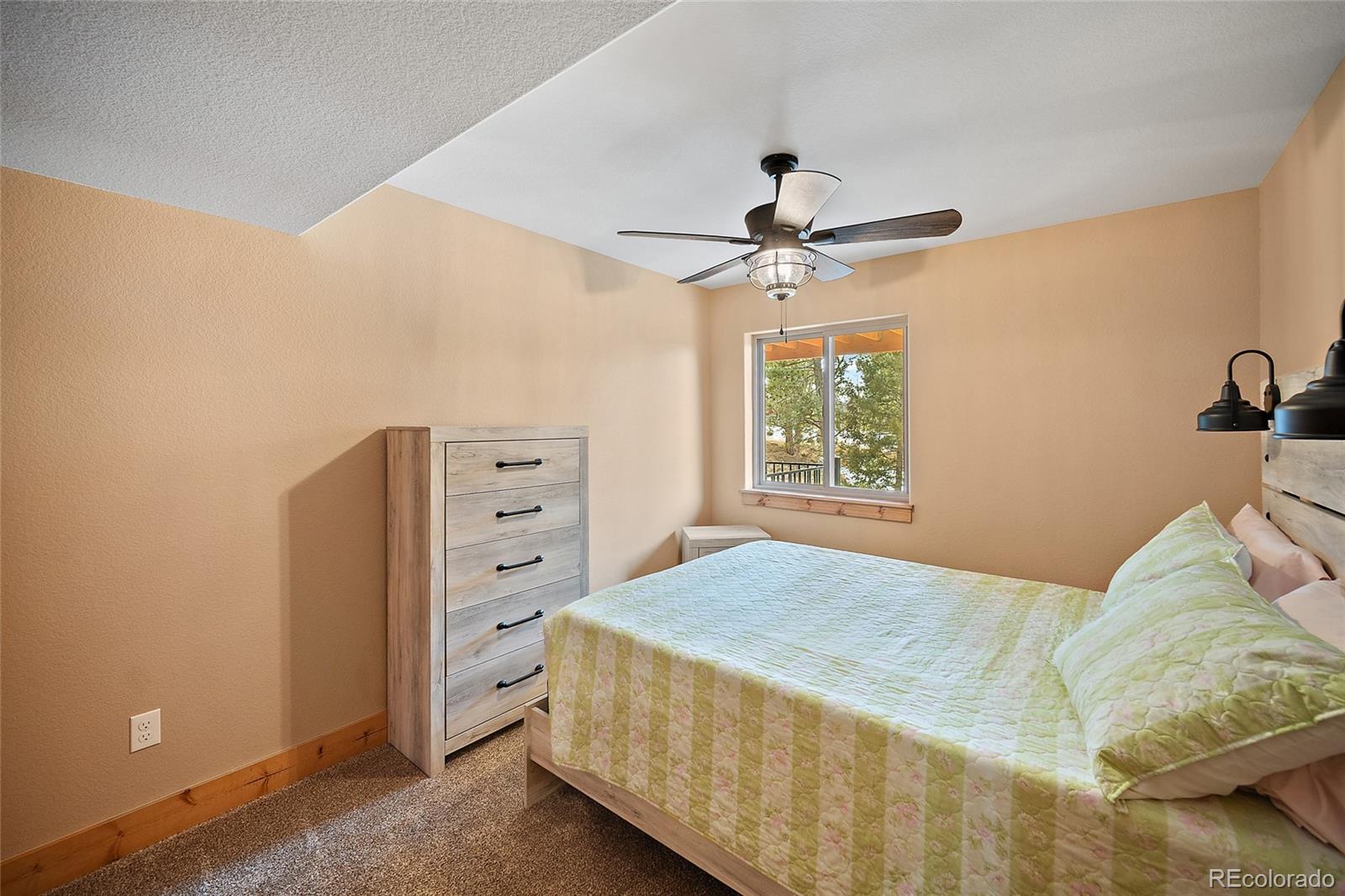367 Cottonwood Lake Drive Divide CO 80814