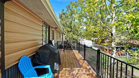 183 Bartimous Road Bailey CO 80421