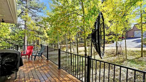 183 Bartimous Road Bailey CO 80421