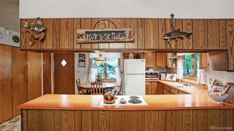 183 Bartimous Road Bailey CO 80421