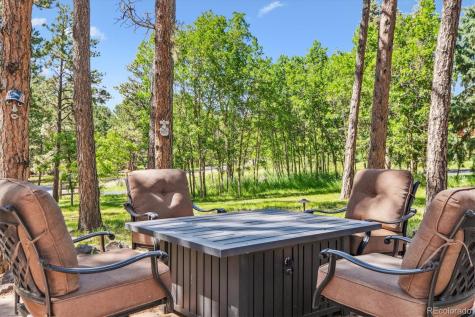 18971 Shadowood Drive Monument CO 80132