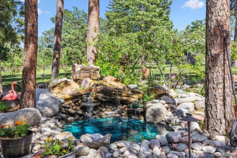 18971 Shadowood Drive Monument CO 80132