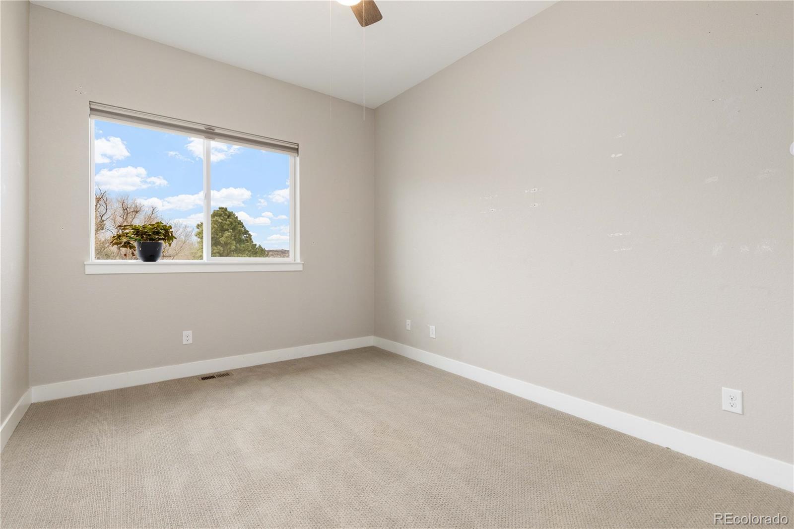 687 Easton Court Castle Rock CO 80104