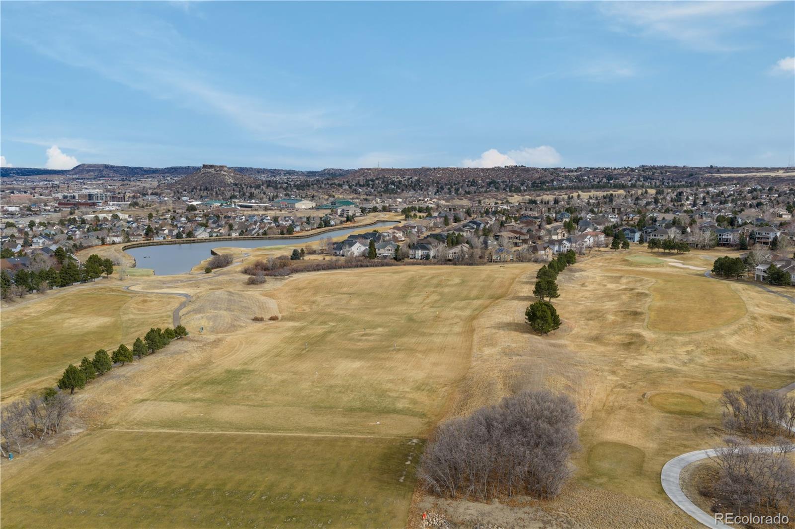 687 Easton Court Castle Rock CO 80104