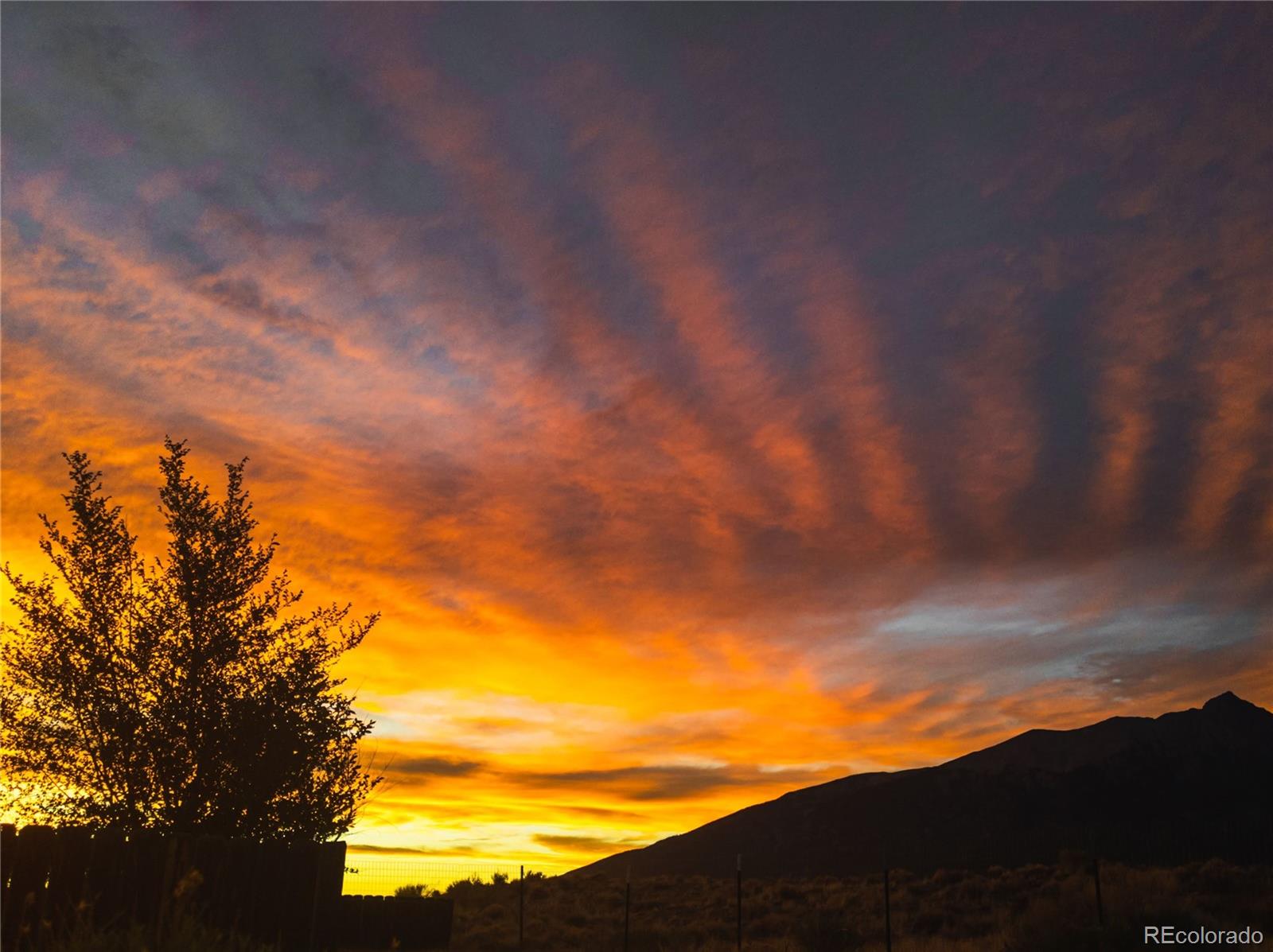 32500 Oak Avenue Blanca CO 81123