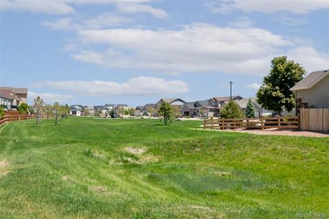 2451 Horsemanship Court Colorado Springs CO 80922