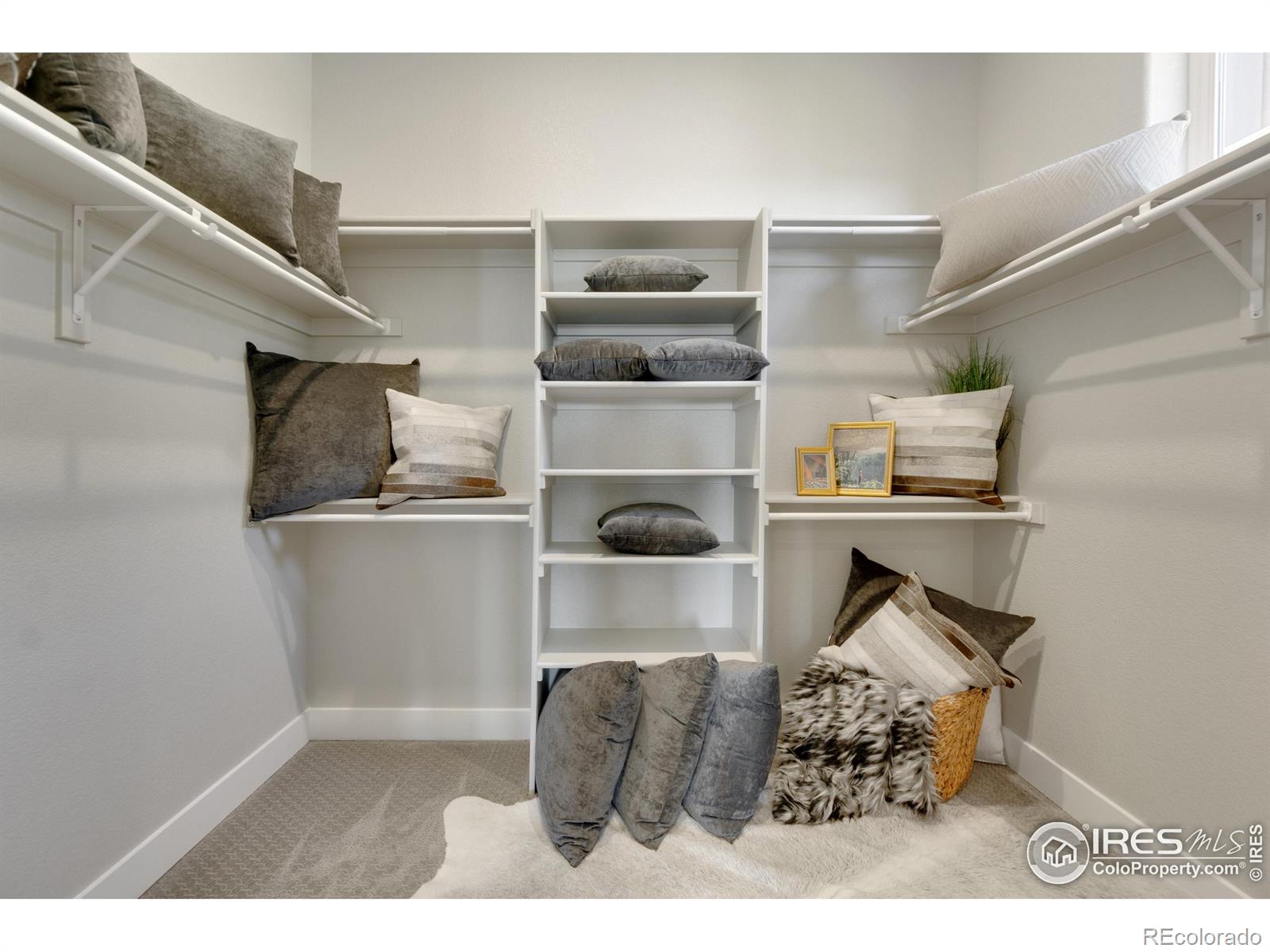 2039 Morningstar Way Fort Collins CO 80524