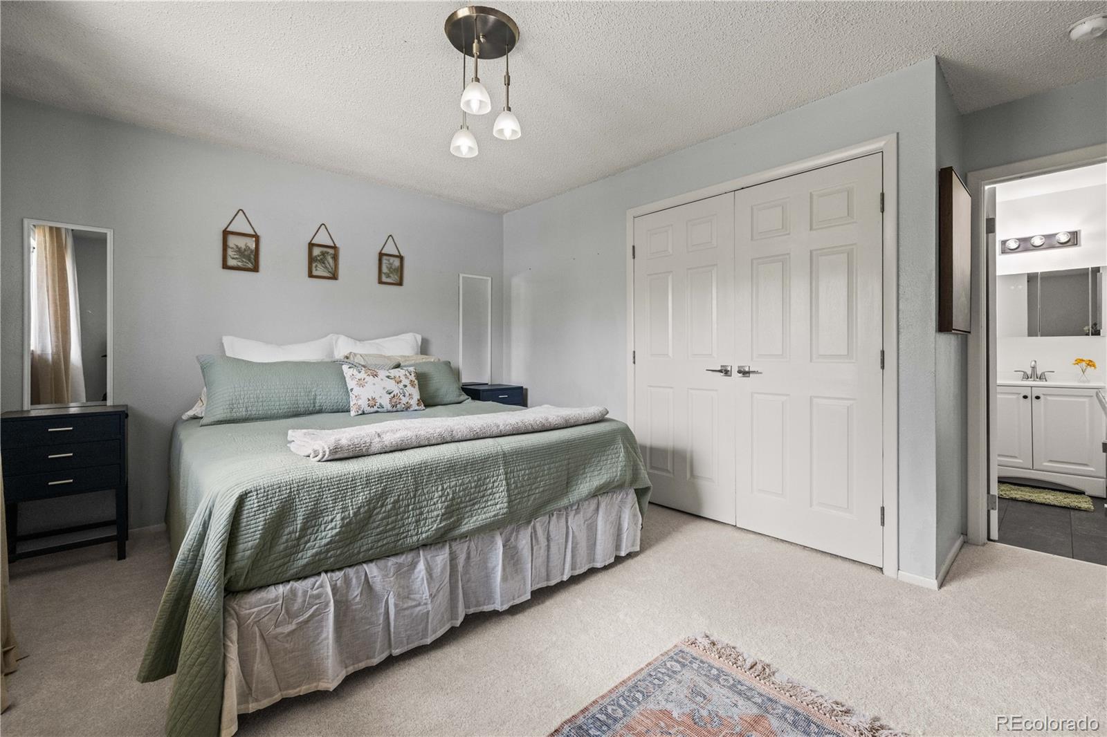 2951 S Downing Street Englewood CO 80113