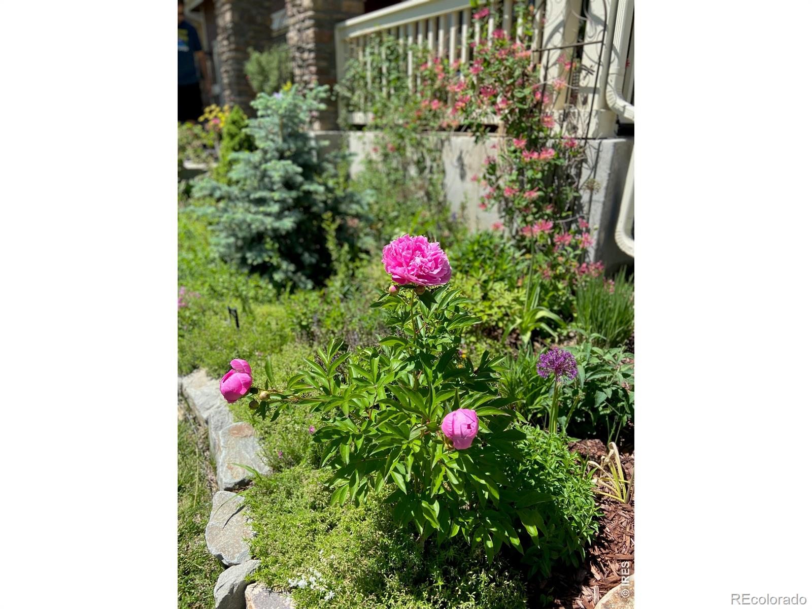 2757 Sternwheeler Drive Fort Collins CO 80524