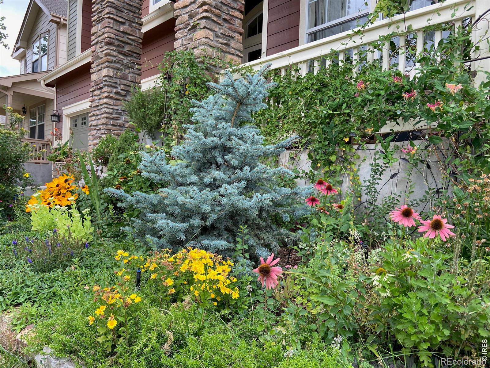 2757 Sternwheeler Drive Fort Collins CO 80524