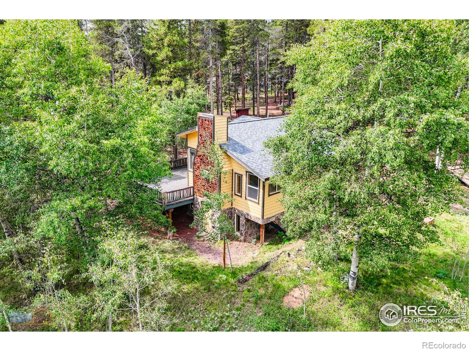 423 Mountain Meadows Drive Black Hawk CO 80422