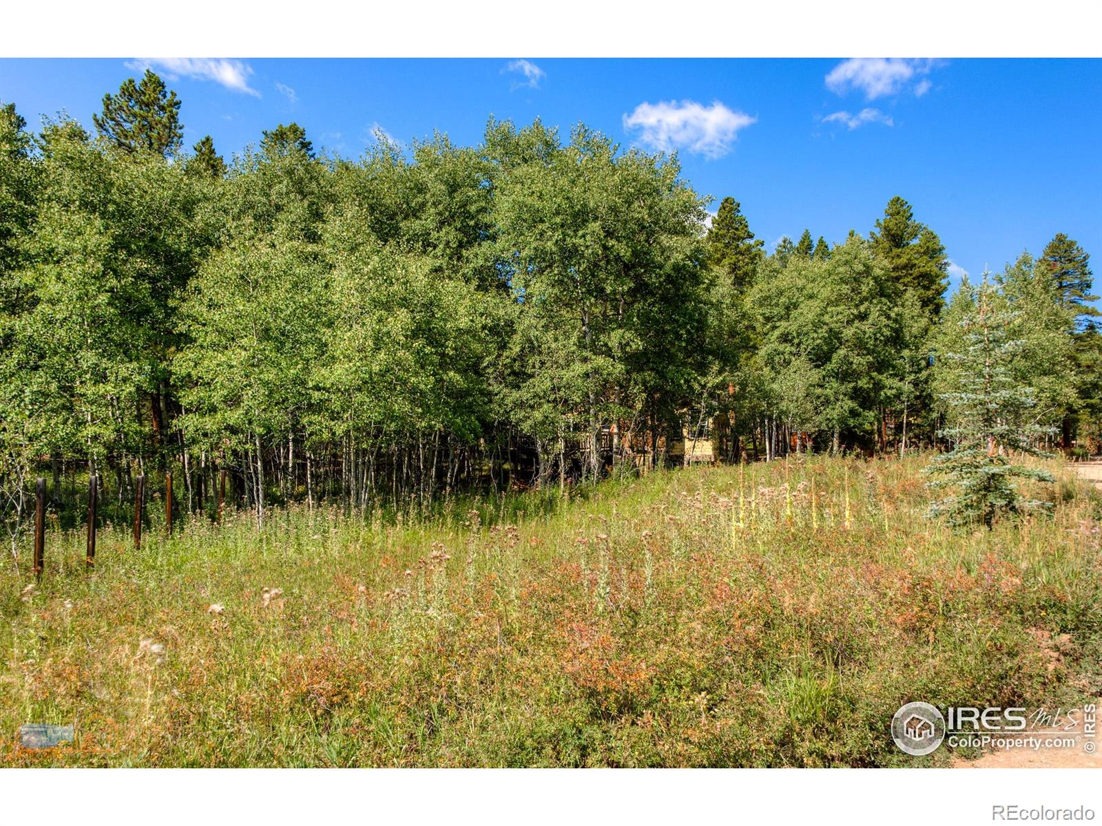423 Mountain Meadows Drive Black Hawk CO 80422