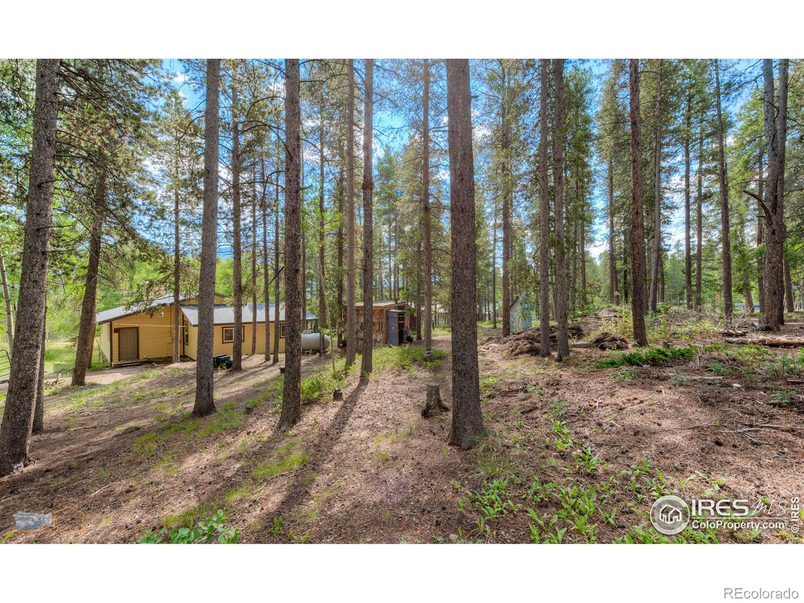 423 Mountain Meadows Drive Black Hawk CO 80422