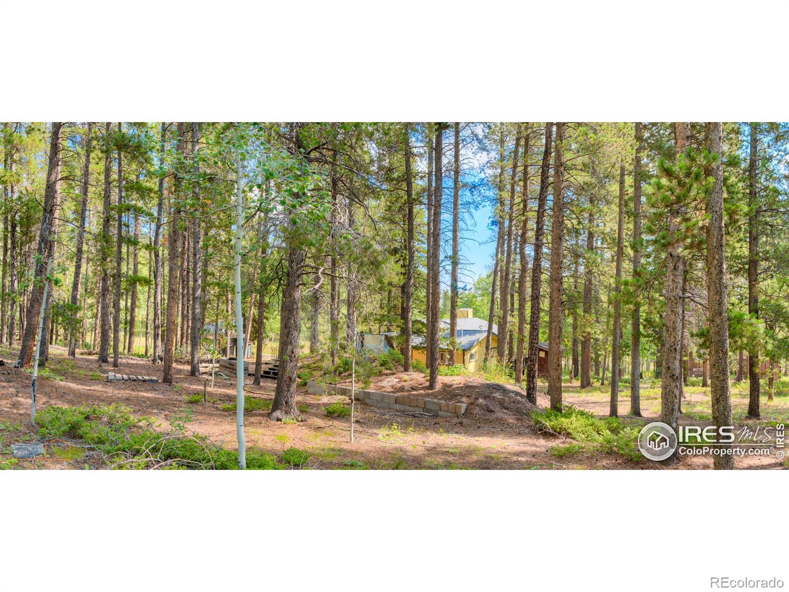 423 Mountain Meadows Drive Black Hawk CO 80422