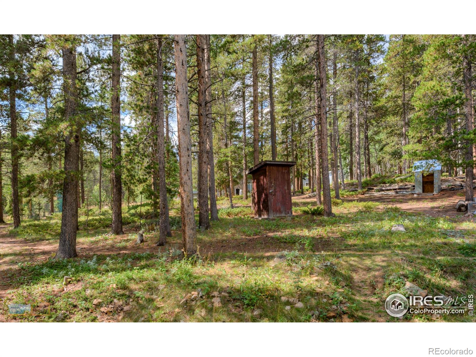 423 Mountain Meadows Drive Black Hawk CO 80422