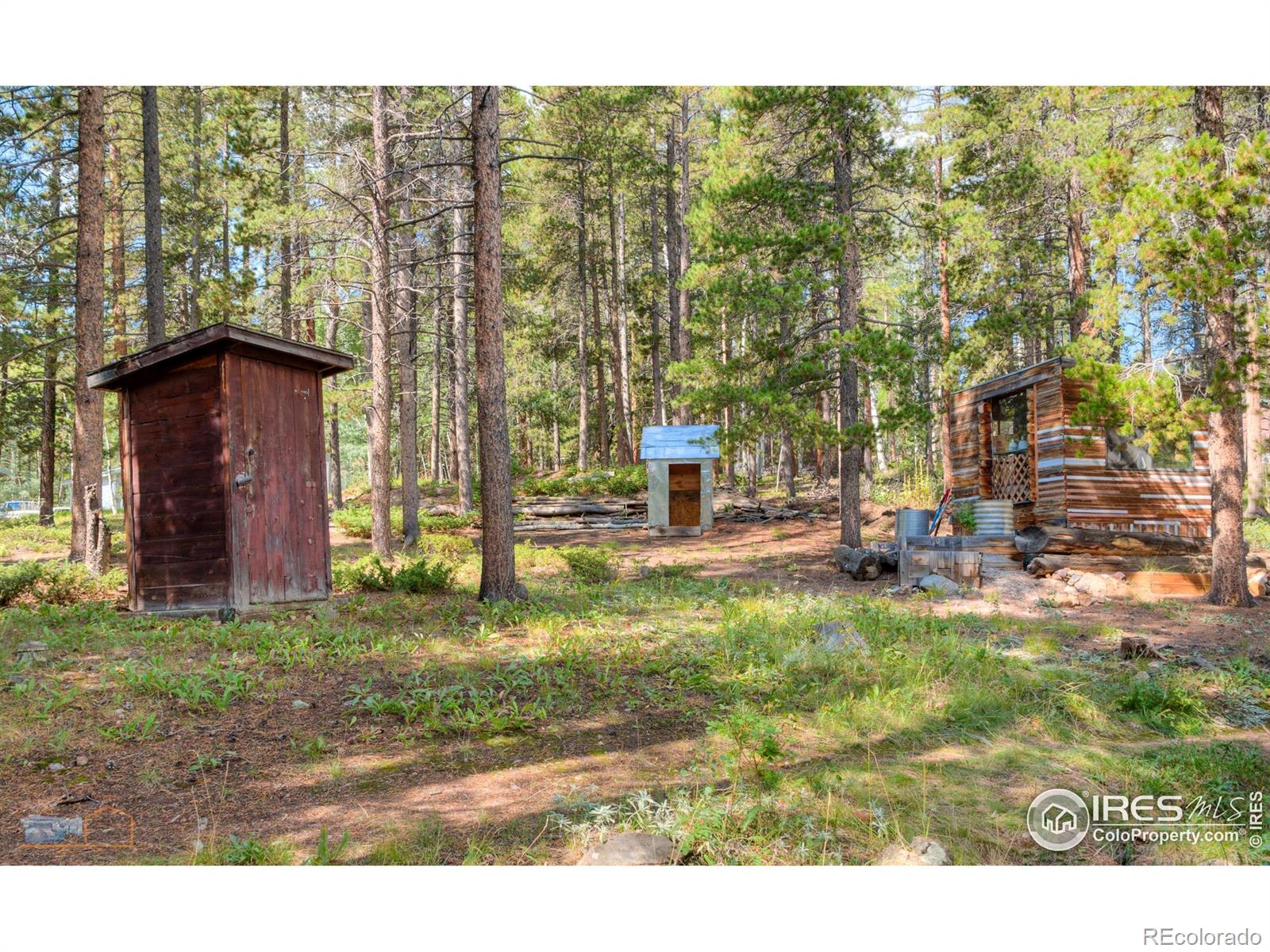 423 Mountain Meadows Drive Black Hawk CO 80422