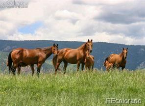 5499 Remuda Ranch Parkway Sedalia CO 80118