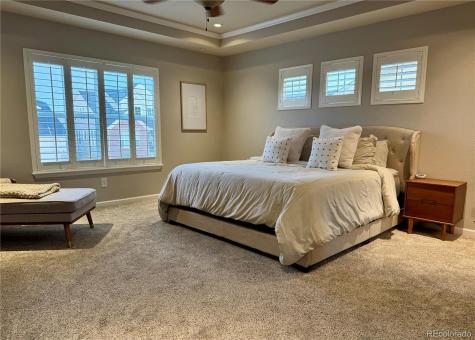 2903 Dragonfly Court Castle Rock CO 80109
