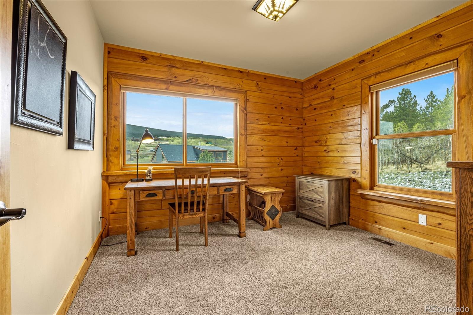 3418 High Creek Road Fairplay CO 80440