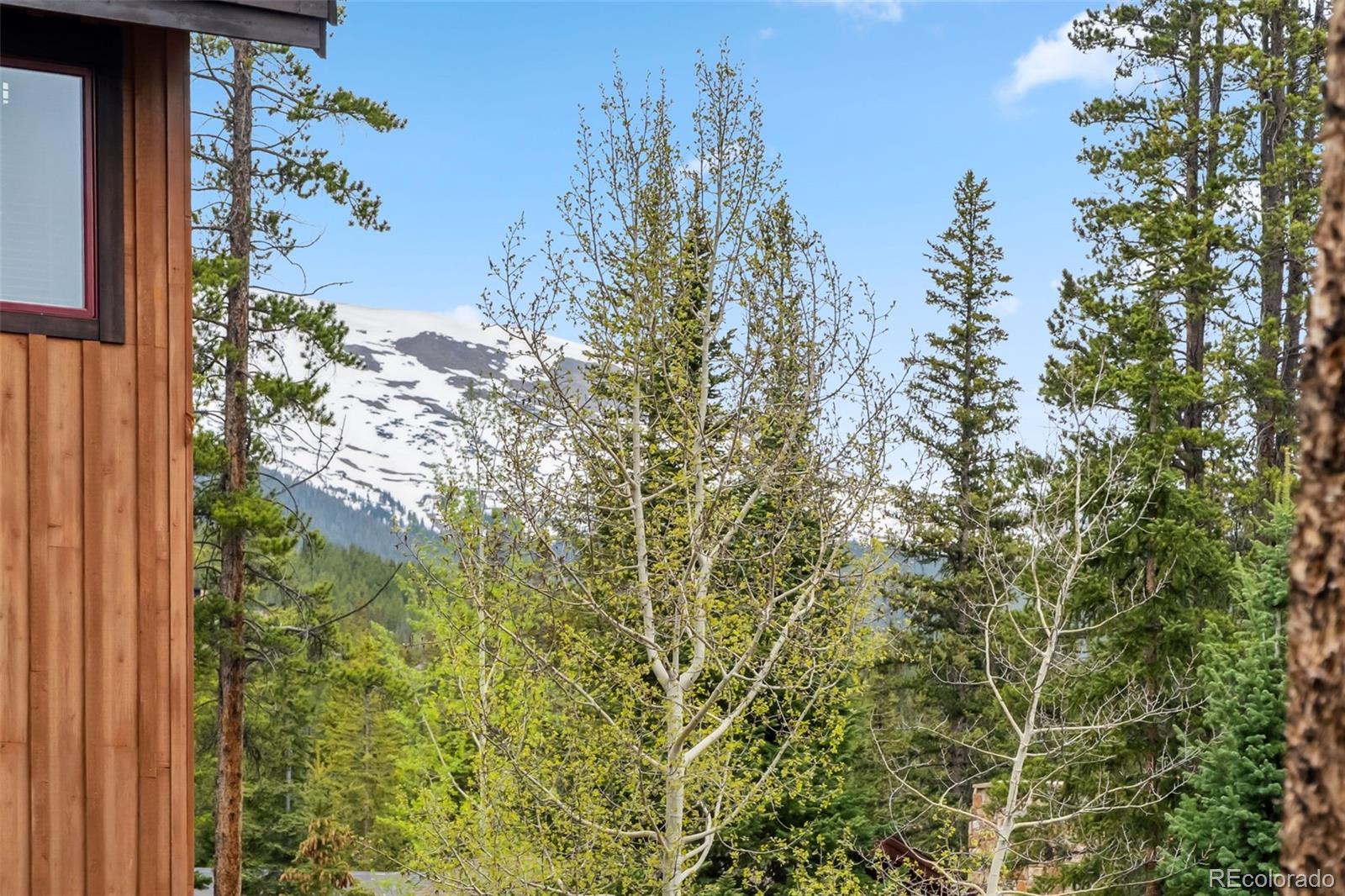 1152 Ski Hill Road Breckenridge CO 80424