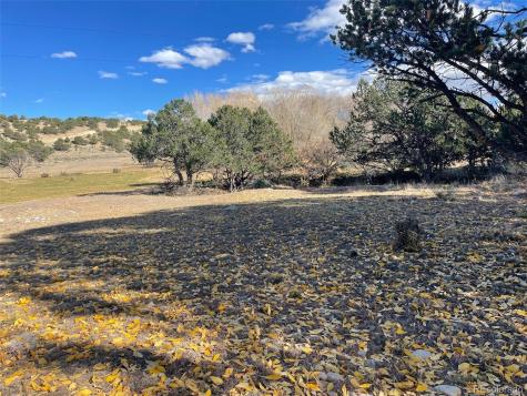 27581 County Road 301 Buena Vista CO 81211