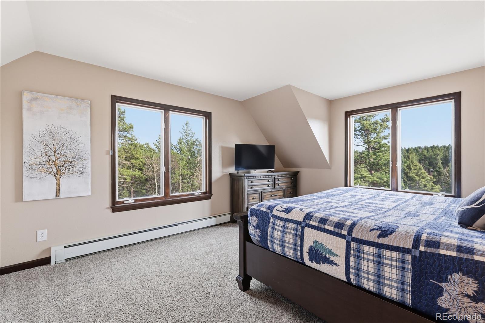 57 Trout Creek Circle Divide CO 80814