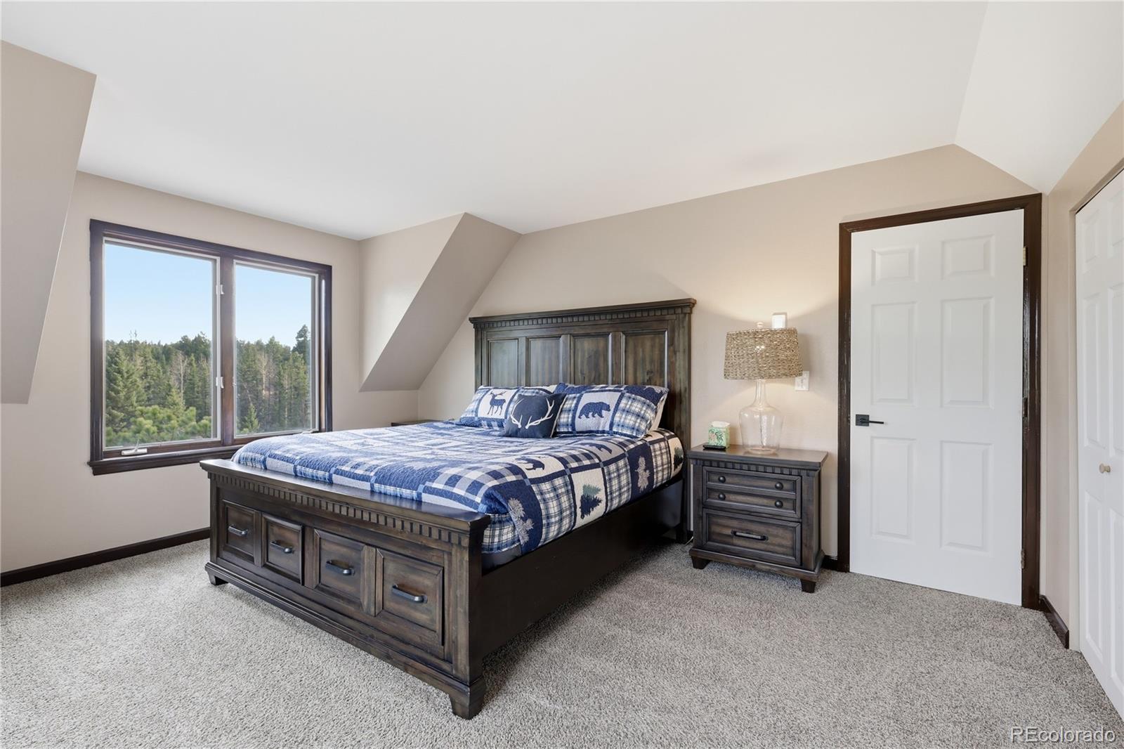 57 Trout Creek Circle Divide CO 80814