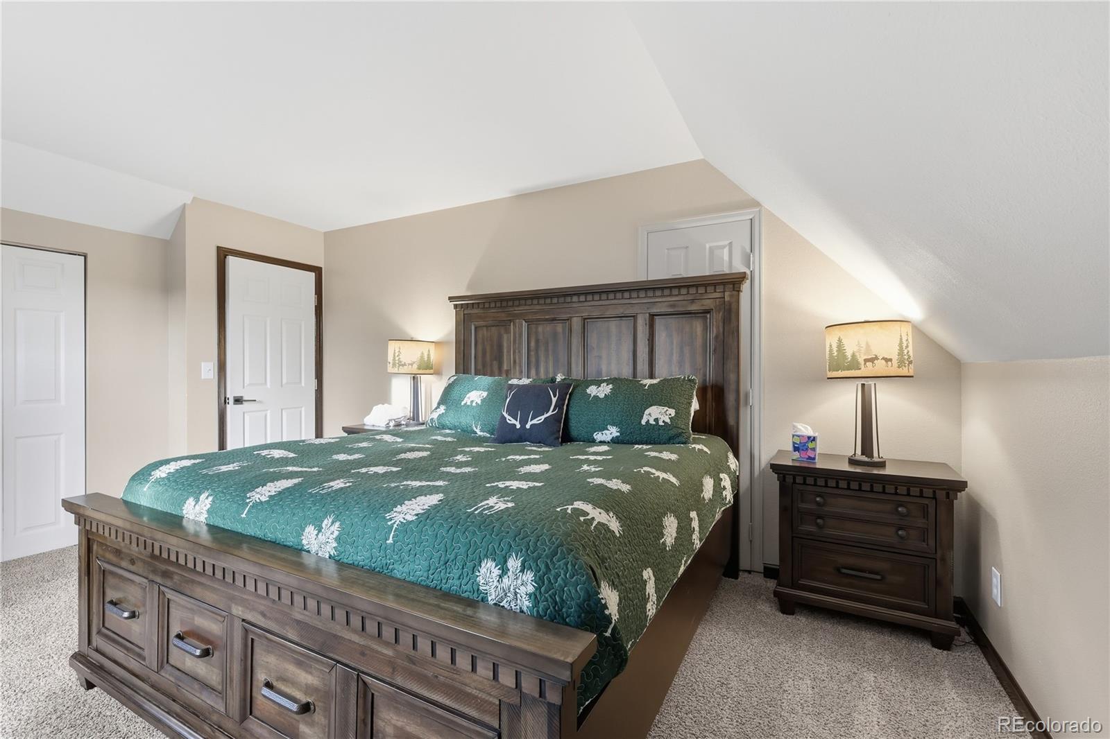 57 Trout Creek Circle Divide CO 80814