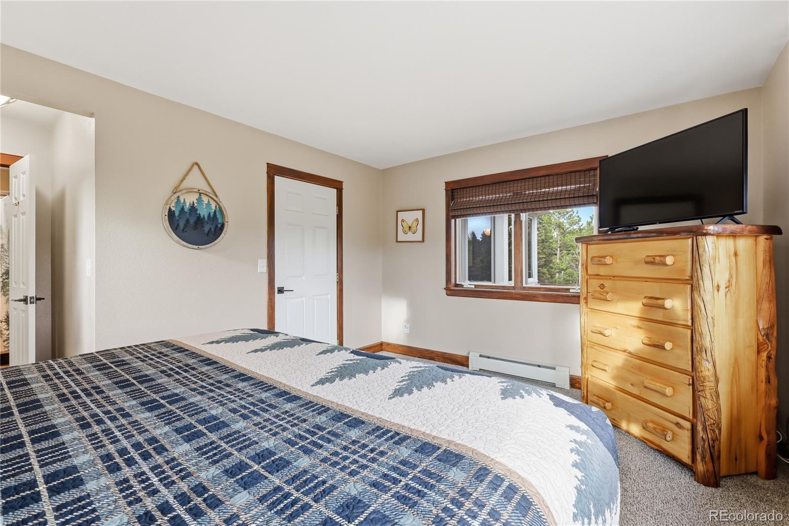 57 Trout Creek Circle Divide CO 80814