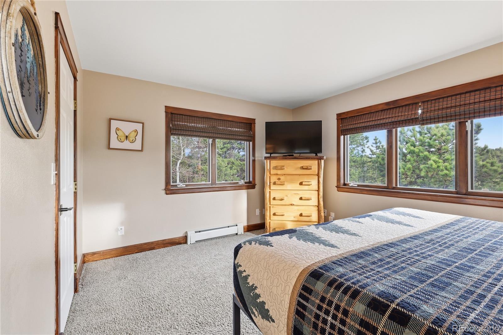 57 Trout Creek Circle Divide CO 80814