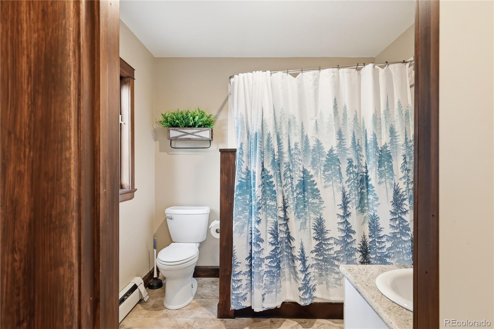 57 Trout Creek Circle Divide CO 80814
