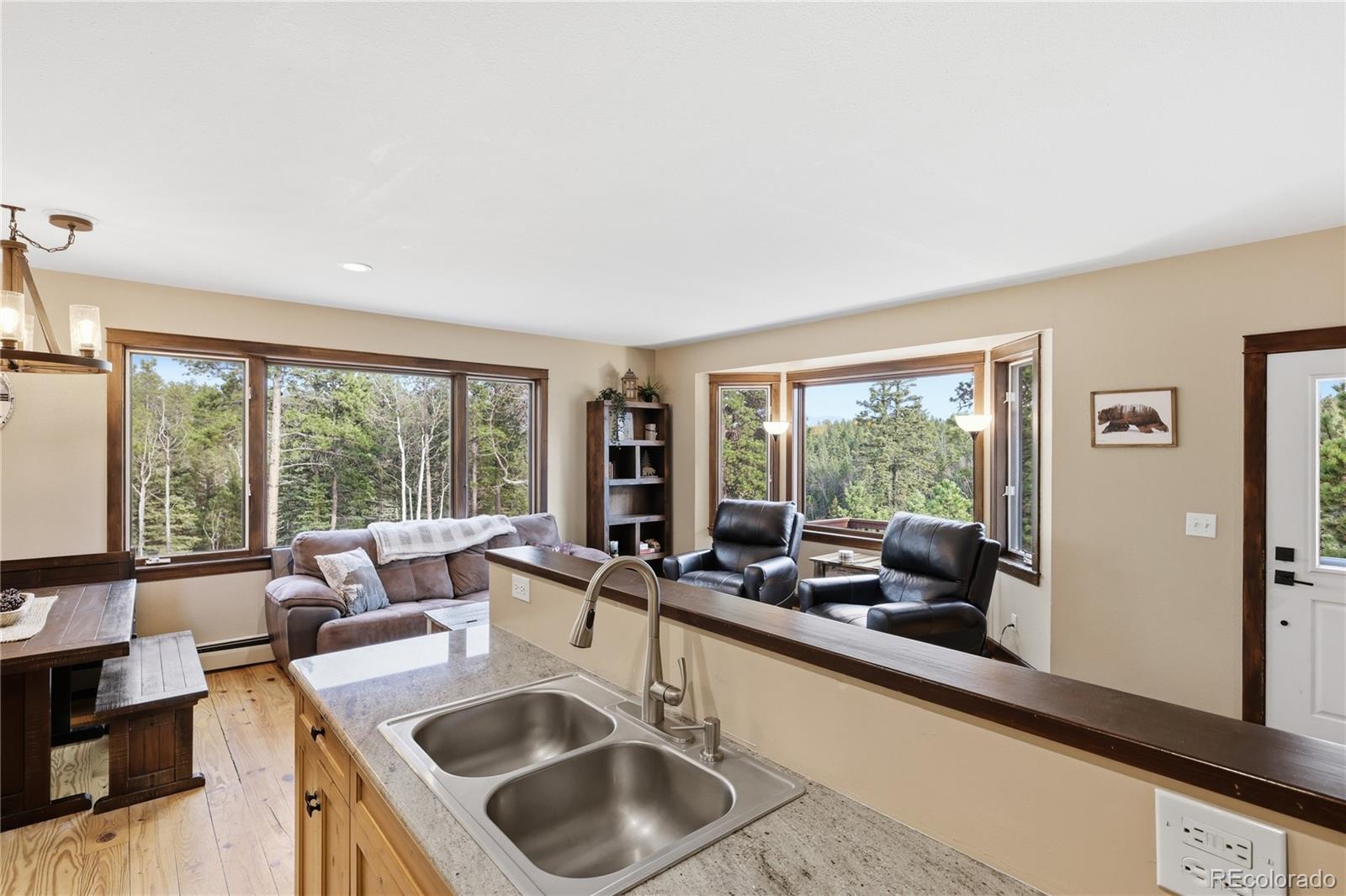 57 Trout Creek Circle Divide CO 80814