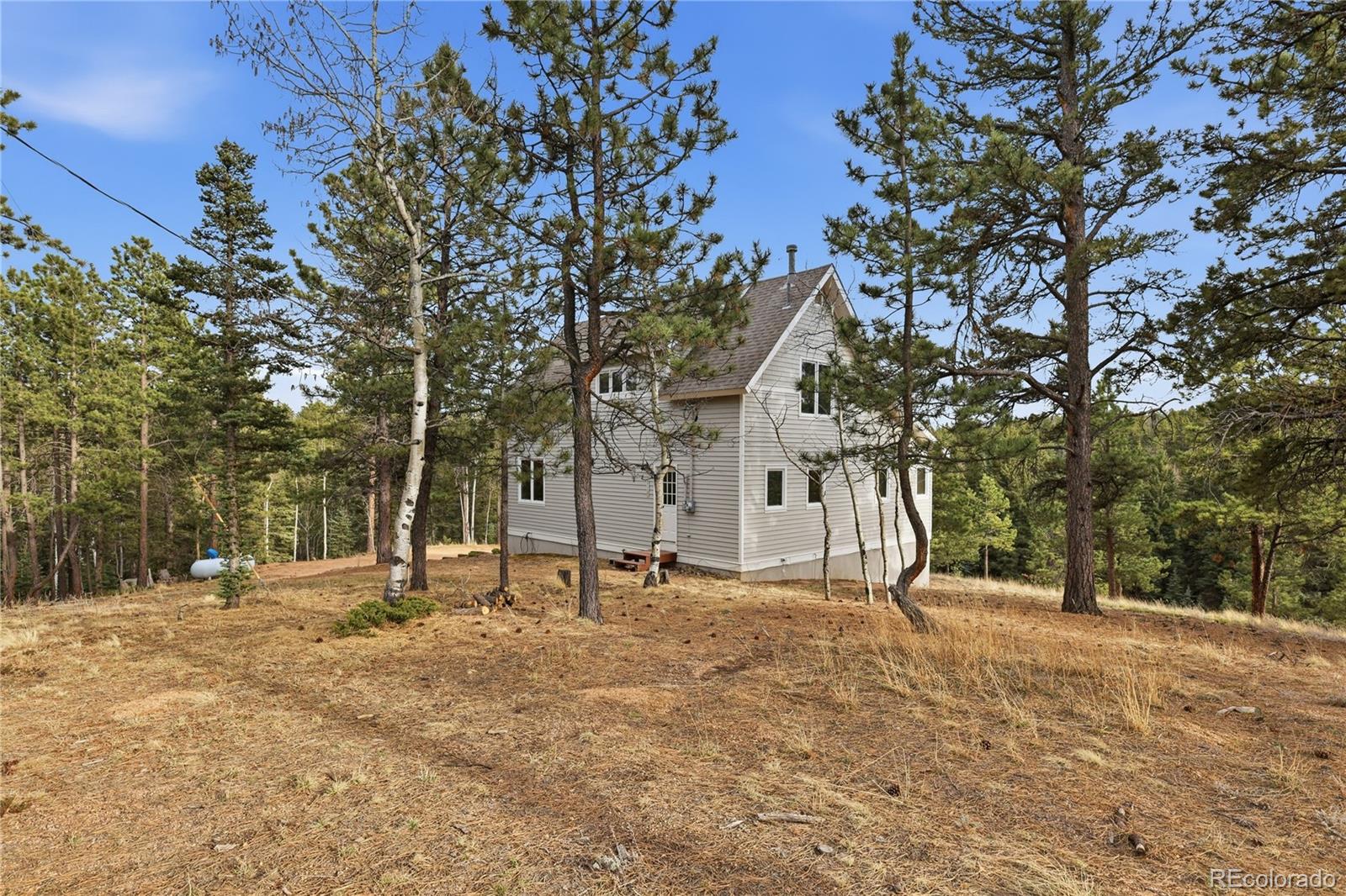 57 Trout Creek Circle Divide CO 80814