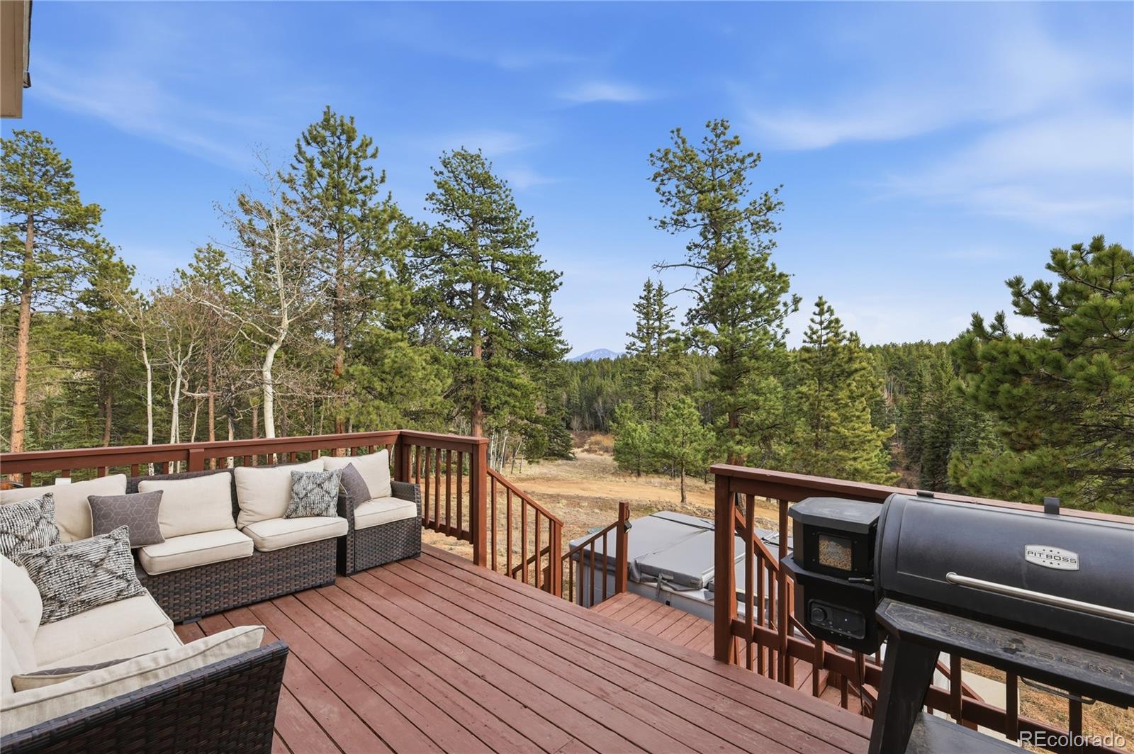 57 Trout Creek Circle Divide CO 80814