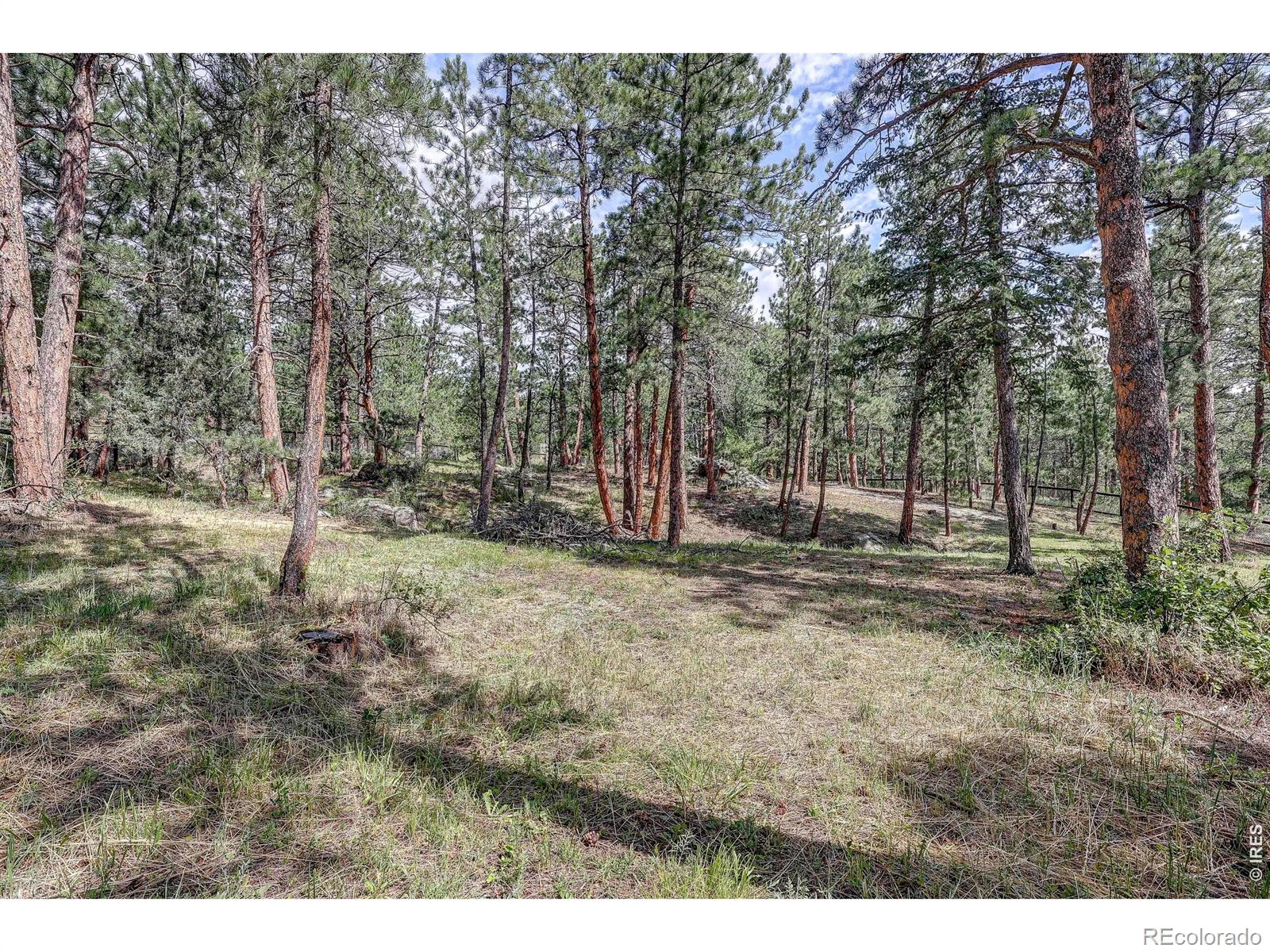 166 Cherokee Road Lyons CO 80540