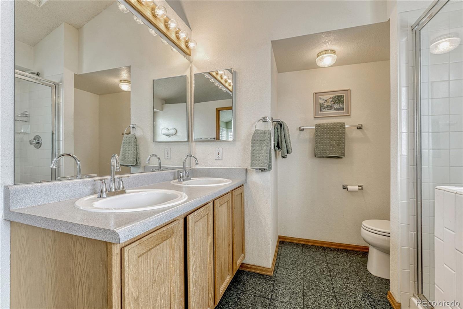 6170 S Summer Ridge Way Castle Rock CO 80109