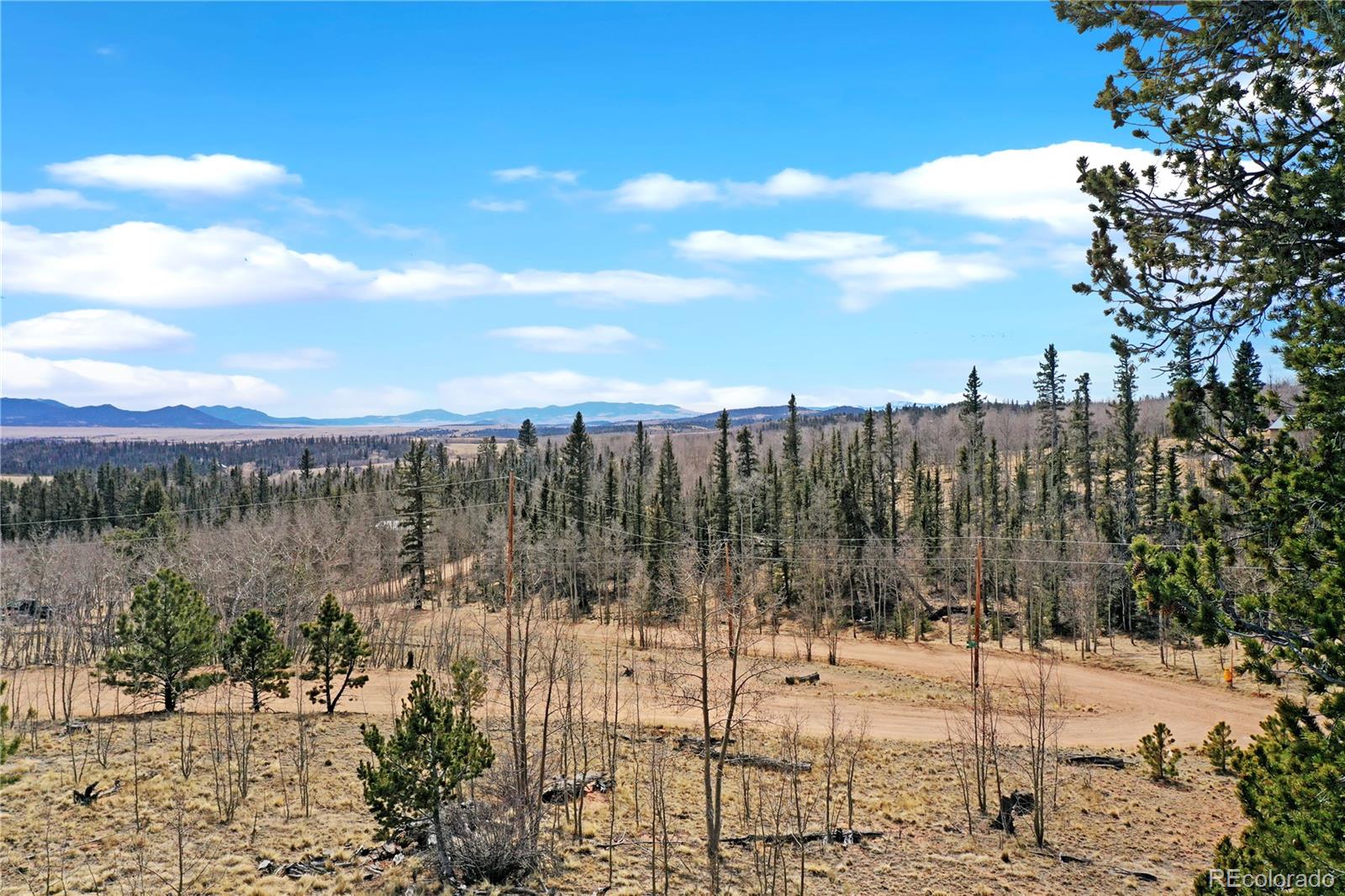 259 Falcon Road Como CO 80432