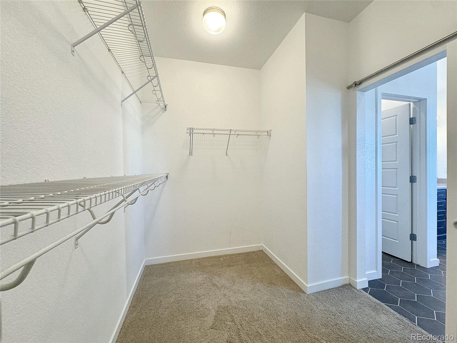 11096 Watermark Street Parker CO 80134