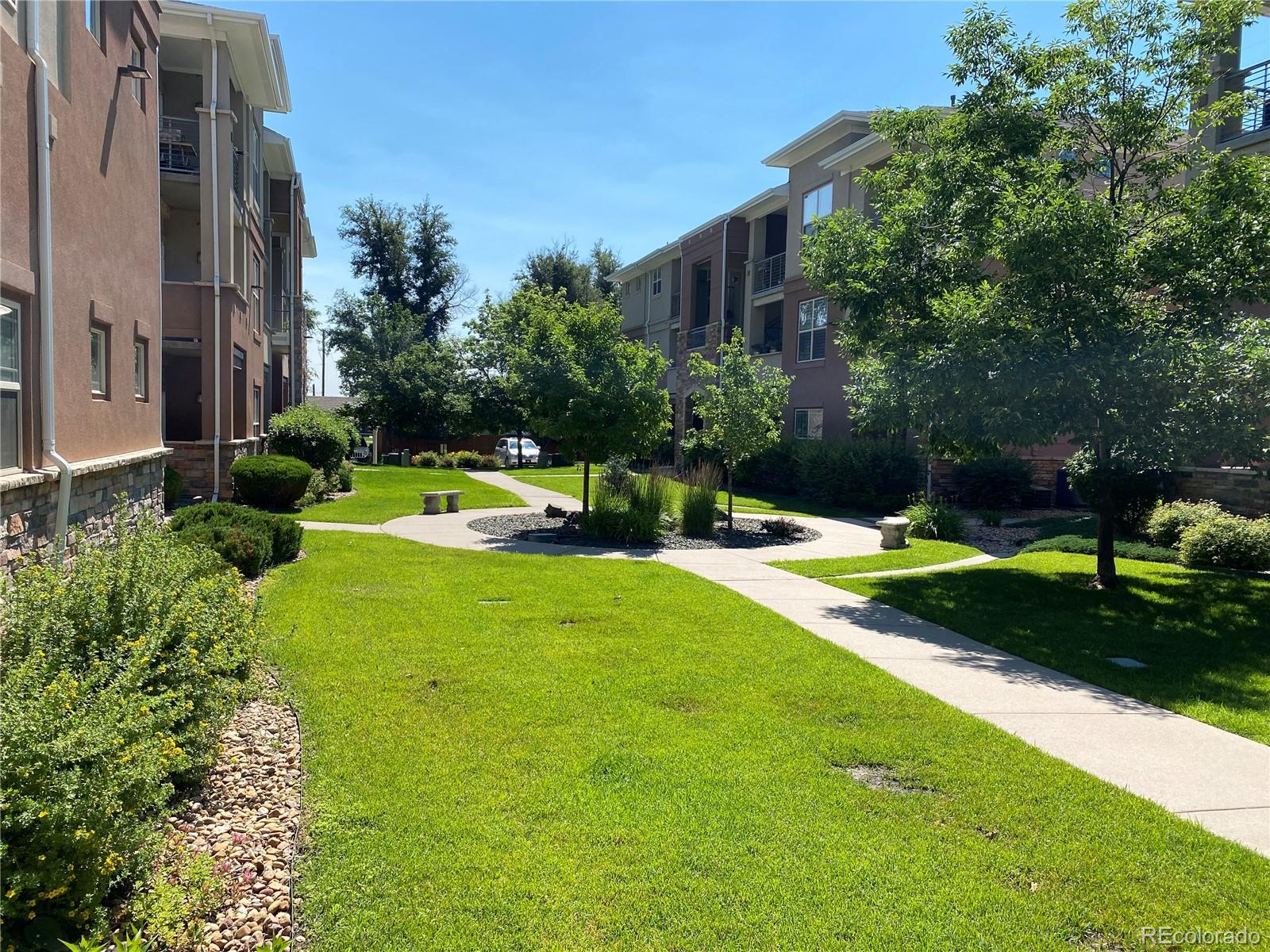 8123 W 51st Place Arvada CO 80002
