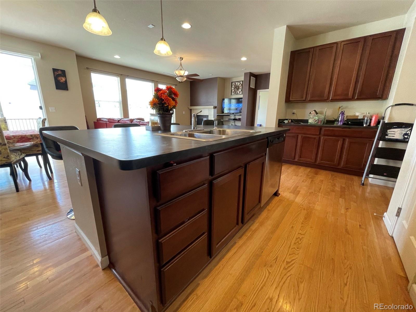 17784 Coral Burst Street Parker CO 80134
