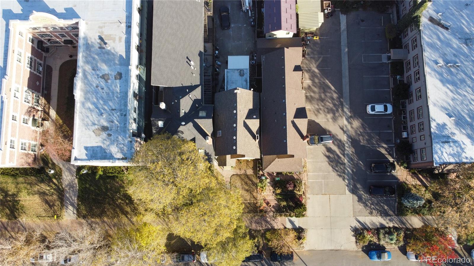 1544 N Downing Street Denver CO 80218