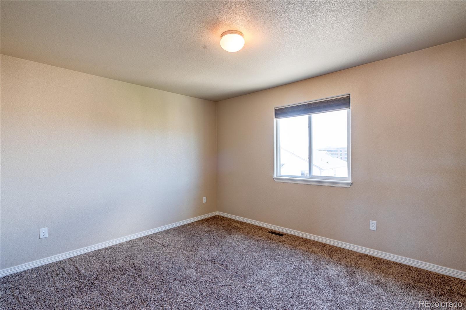 957 Salmon Pond Way Colorado Springs CO 80921