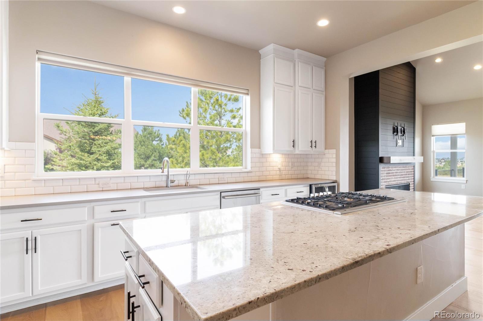 2554 Eastview Drive Castle Rock CO 80104