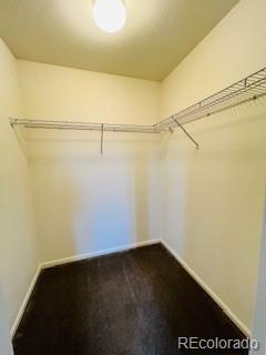 13645 Ash Circle Thornton CO 80602