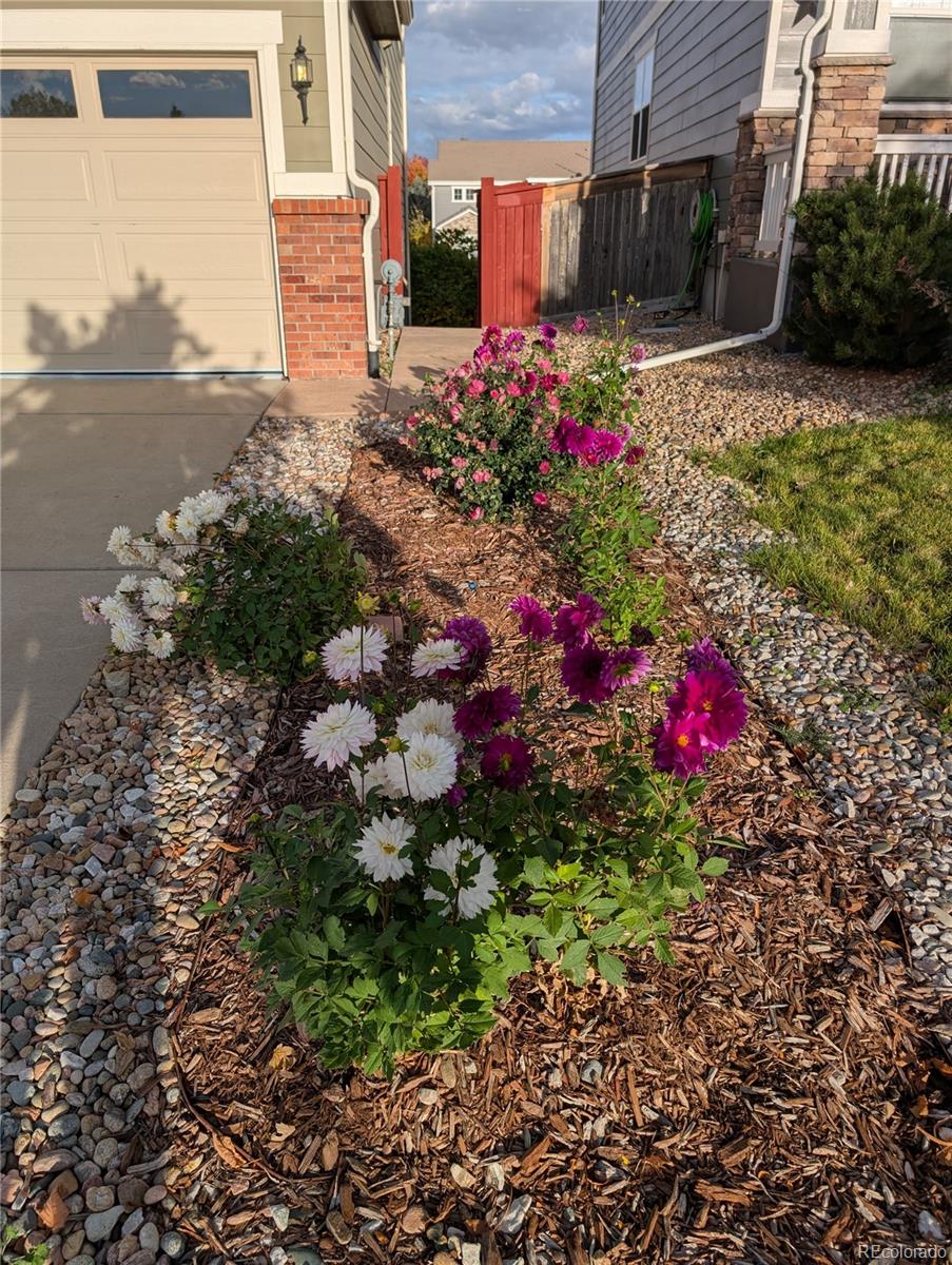 12216 S Great Plain Way Parker CO 80134