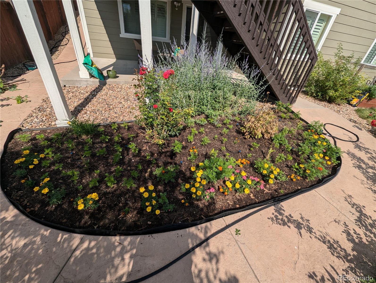 12216 S Great Plain Way Parker CO 80134