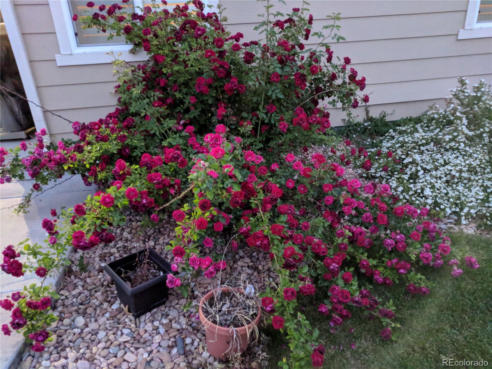 12216 S Great Plain Way Parker CO 80134